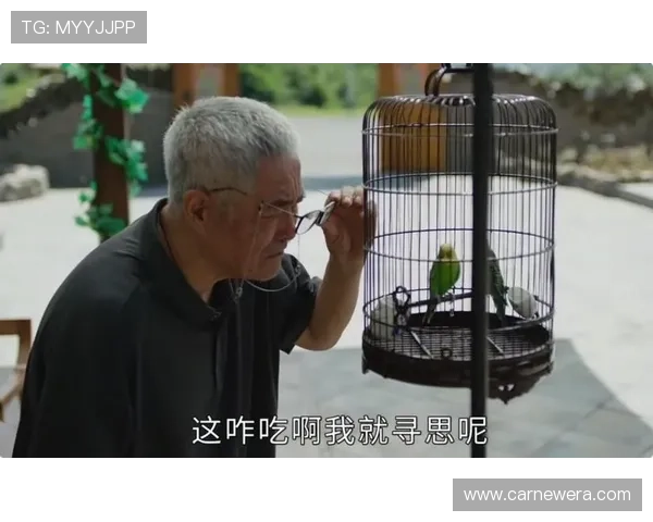 《刘老根》:东北喜剧的烟火气与人情味,一场笑中带泪的乡土史诗